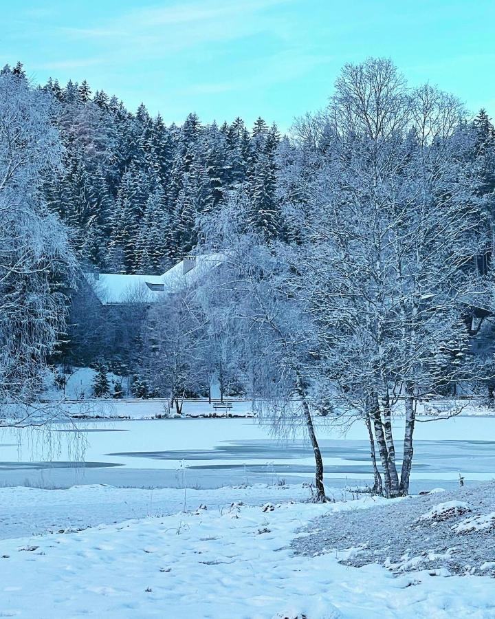 Lakeside Seefeld