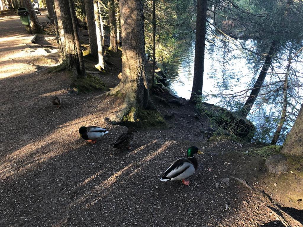 Lakeside Seefeld